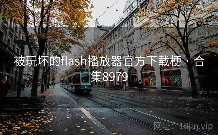 被玩坏的flash播放器官方下载梗 · 合集8979
